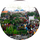 Mercado de FLores